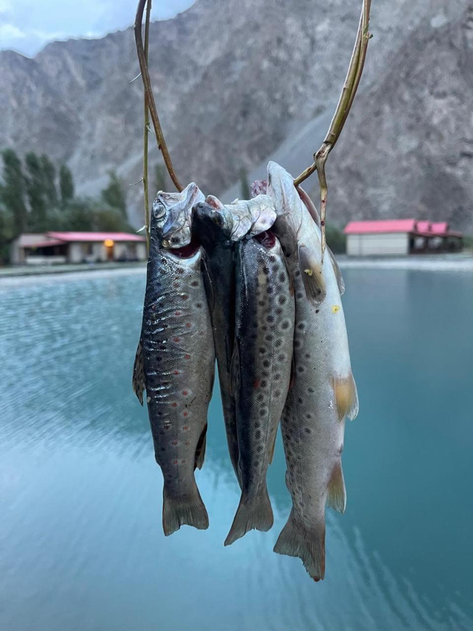 Dream Nest Resorts Skardu Exteriör bild